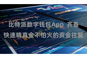 比特派数字钱包App 齐备快速精真金不怕火的资金往复