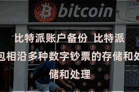 比特派账户备份 比特派钱包相沿多种数字钞票的存储和处理
