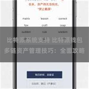比特派系统支持 比特派钱包多链资产管理技巧：全面攻略
