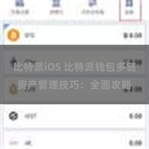 比特派iOS 比特派钱包多链资产管理技巧：全面攻略