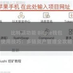 比特派功能 Bitpie钱包使用技巧：多链资产管理全攻略