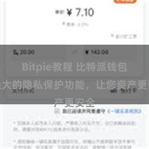 Bitpie教程 比特派钱包：强大的隐私保护功能，让您资产更安全