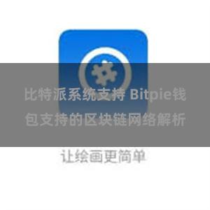 比特派系统支持 Bitpie钱包支持的区块链网络解析