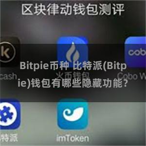 Bitpie币种 比特派(Bitpie)钱包有哪些隐藏功能？