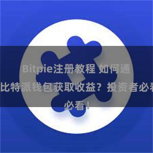 Bitpie注册教程 如何通过比特派钱包获取收益？投资者必看！