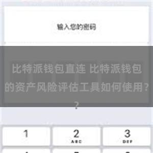 比特派钱包直连 比特派钱包的资产风险评估工具如何使用？