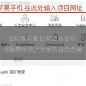 比特派转账 比特派热钱包：保障数字资产安全的首选选择