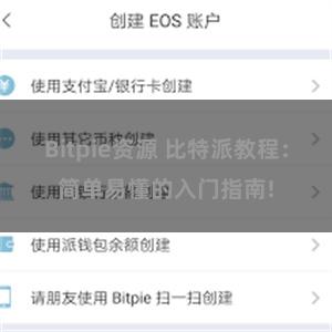 Bitpie资源 比特派教程：简单易懂的入门指南!